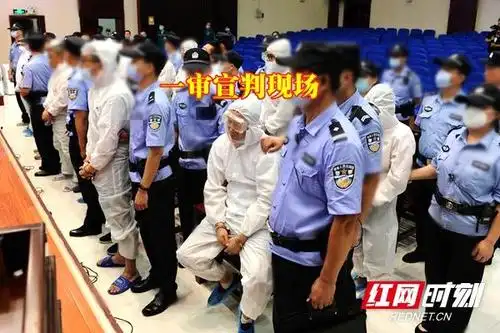 于2020年12月31日上午对罪犯王猛验明正身,押赴刑场,执行死刑