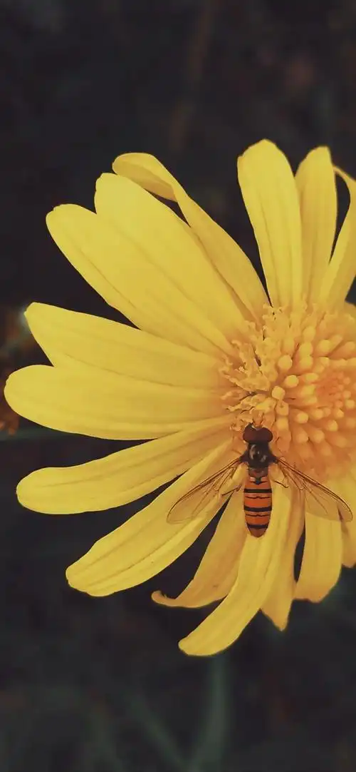 iphonex壁纸全面屏手机壁纸高清