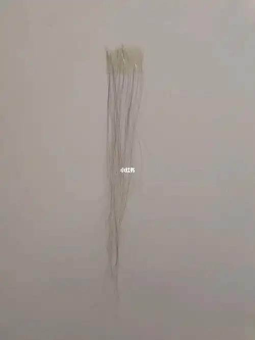 收集了10月24日到今天掉到部分头发