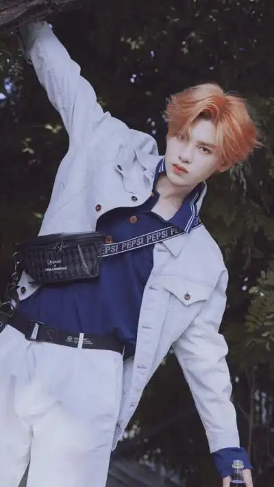 平铺壁纸黄明昊