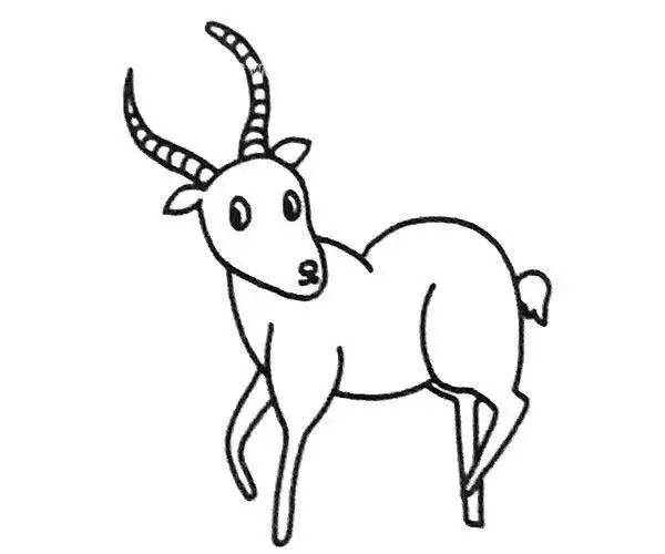 可爱的小羚羊羚羊的简笔画怎么画简笔画奔跑的羚羊简笔画怎么画一只