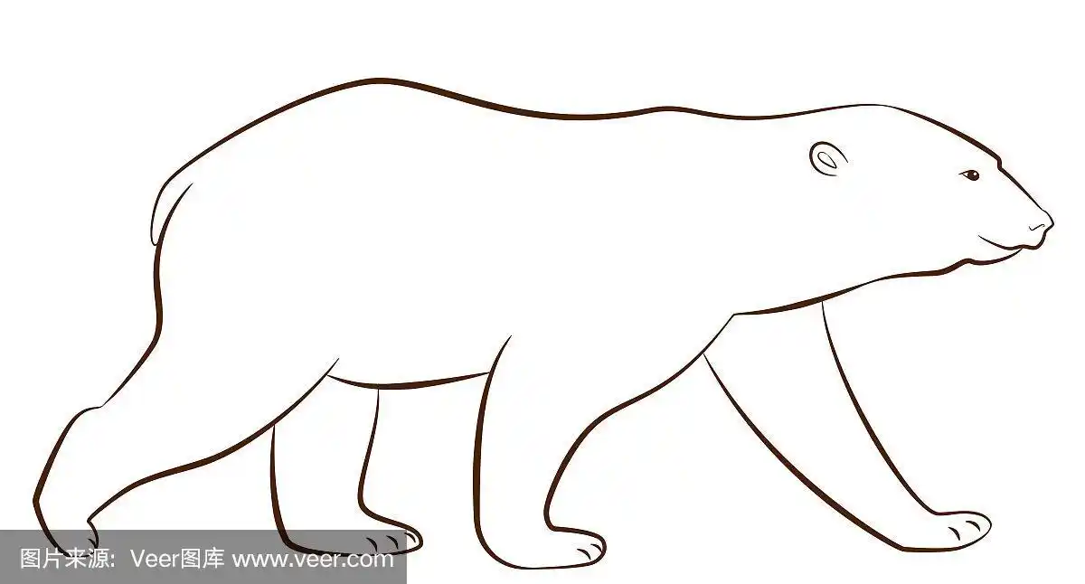 北极熊的轮廓风格