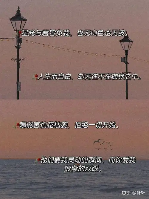 有哪些值得一生收藏的神仙句子文案分享