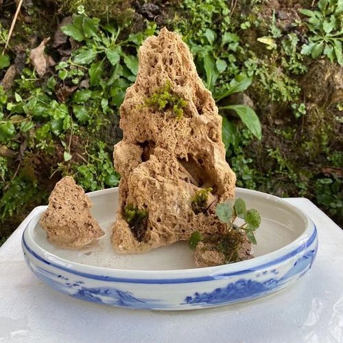 天然上水石吸水石小型假山盆景石头奇石微景观赏原石造景石