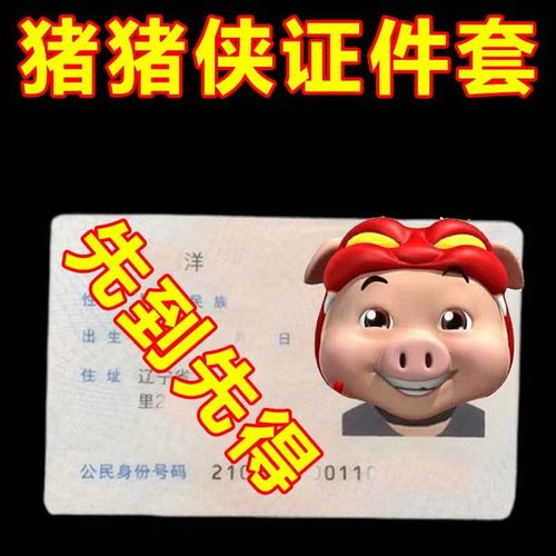 小红书同款身份证头像恶搞保护套绑匪头套搞笑证件保护套透明卡套
