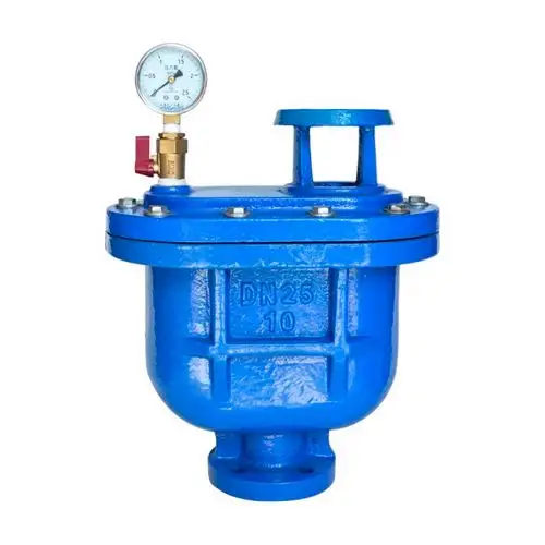 carx复合式排气阀