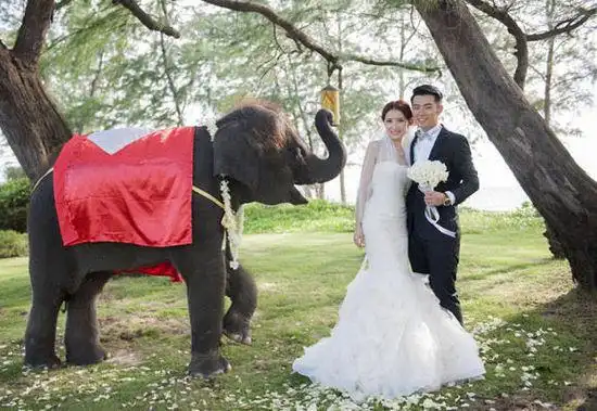 好男人陈赫大婚 新娘抹胸婚纱唯美