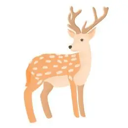 梅花鹿手绘插画 动物