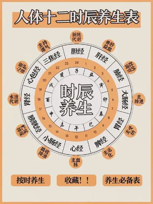 人体时辰养生表