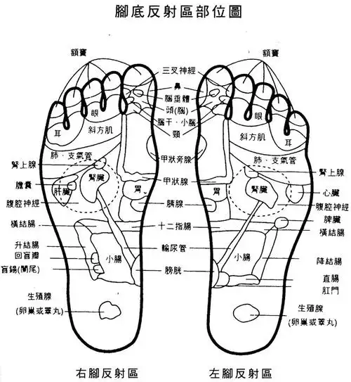 到底管用吗?中医解读"穴位治病"