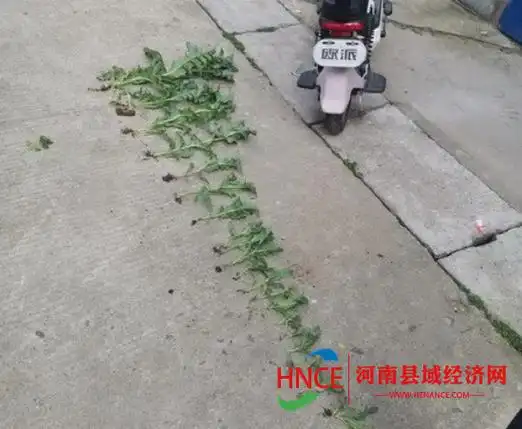 (汪俊 金宏辉 刘洋)