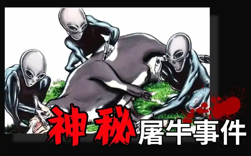 活动作品美国神秘屠牛事件上万头牛被残忍切割是恶作剧还是外星人所为