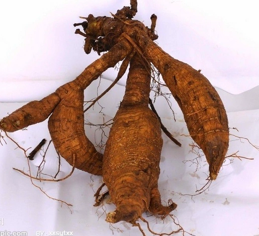 民间野生中草药带名字图片大全抗癌抗肿瘤农村常见中草药