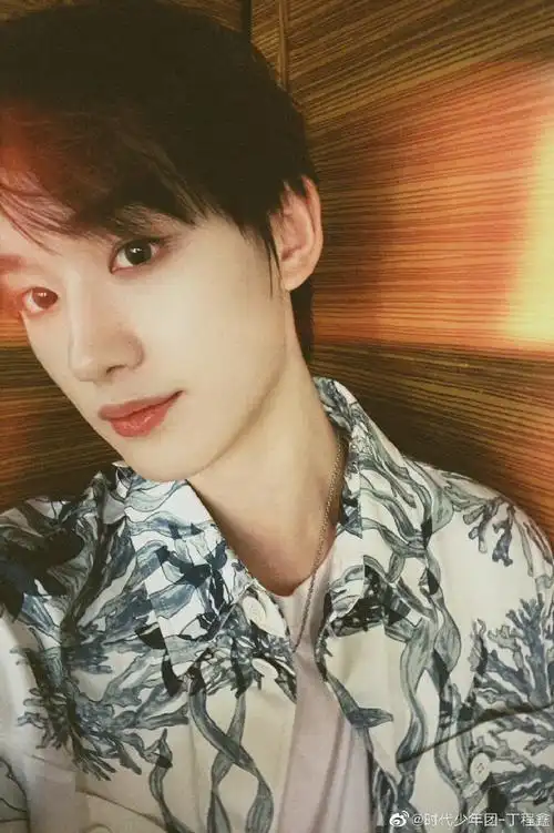 丁程鑫侧颜拍##丁程鑫发型弄乱之前四连拍