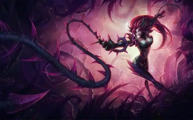 玫瑰:婕拉她自信而美丽,责任感极强,娶回家你可以安心在外干你的事业