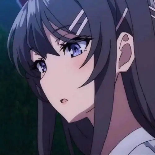 有没有老婆樱岛麻衣的头像呢