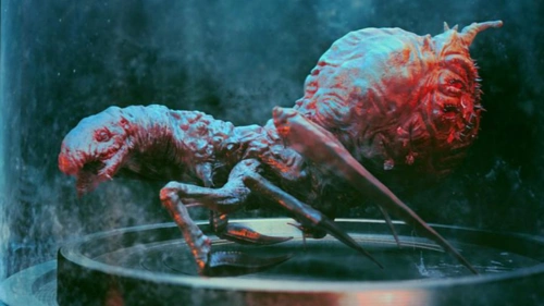 这7部经典的昆虫电影你看过吗?直叫人肾上腺素飙升,太震撼了!