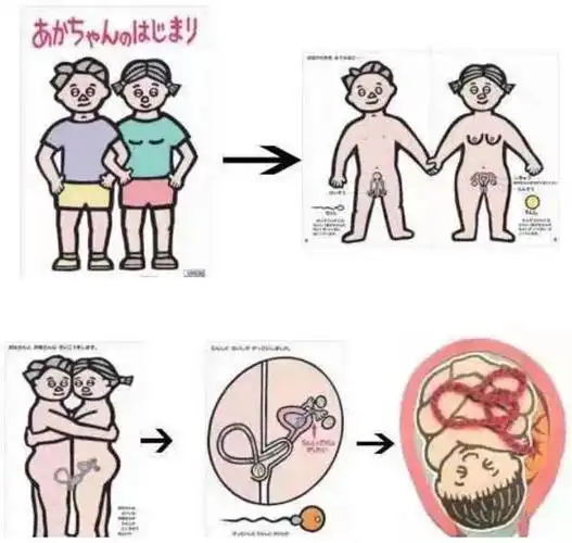 教科书封面上,就有女性和男性的身体和性器官图,从小告诉他们"男女有