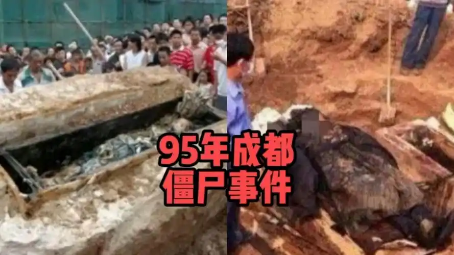 成都僵尸事件是真的吗