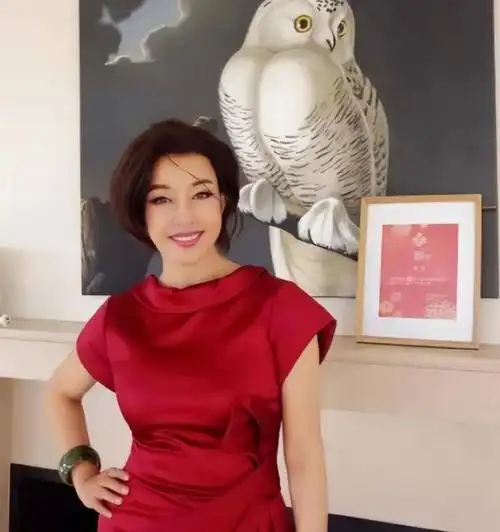 70岁刘晓庆在豪宅对小鲜肉"投怀送抱",两人年龄差距巨大却恩爱|发型