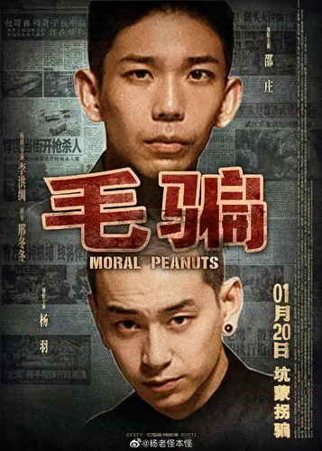 毛骗 海报