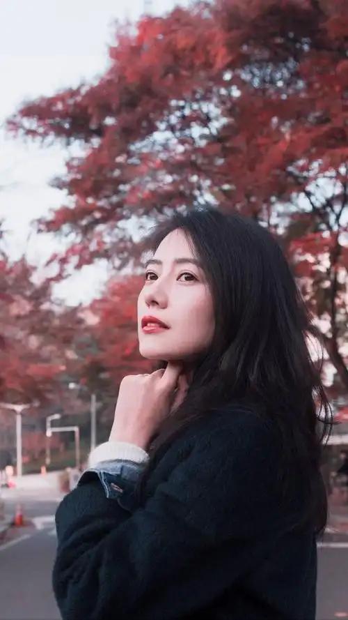 高圆圆精选壁纸集