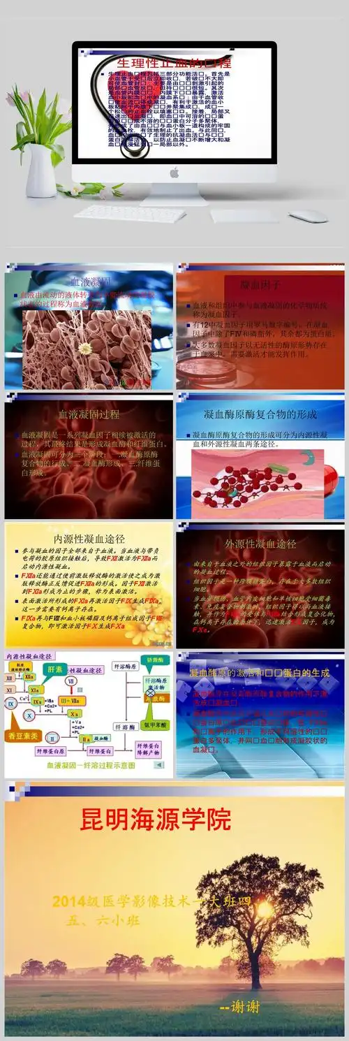 血液凝固基本过程ppt模板