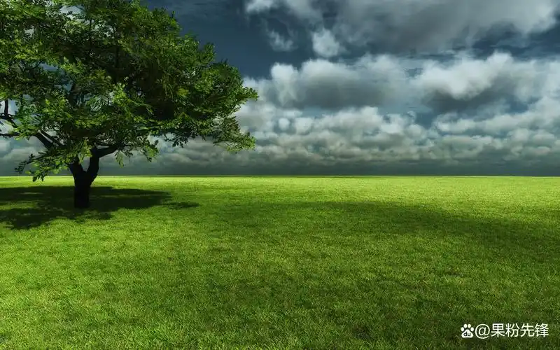 电脑风景壁纸图片大全高清,全球最美100张风景壁纸ins高级质感