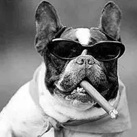 叼烟斗男人头像_微信头像图片大全