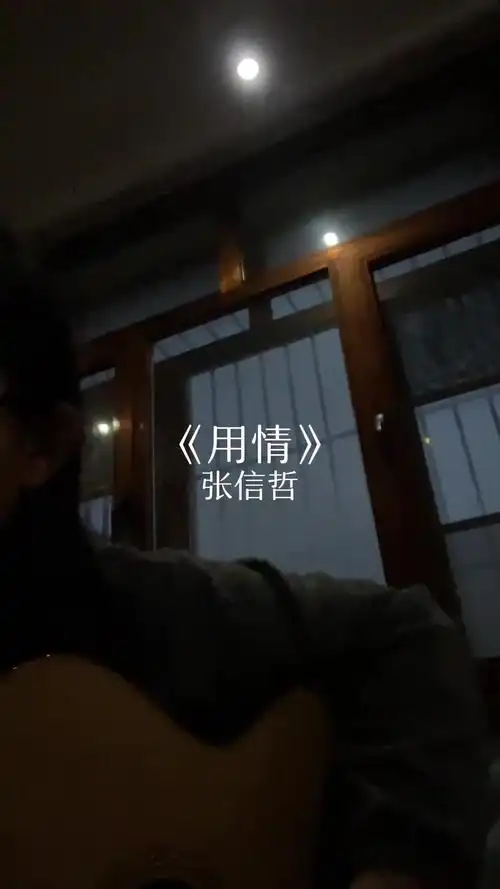 回复一张的评论用情张信哲弹唱我用情付诸流水爱比不爱可悲
