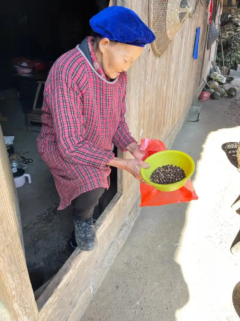 农村是富人眼里的天堂,穷人眼里的荒凉,是诗人笔下的远方,是游 - 抖音