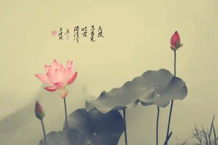 20个唯美静心禅语文案,最佛系极简句子