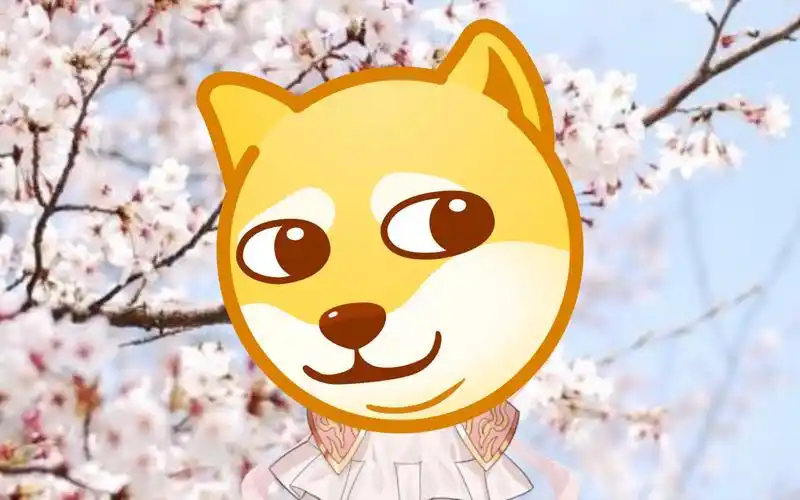 说 明(越不显眼越好(doge))