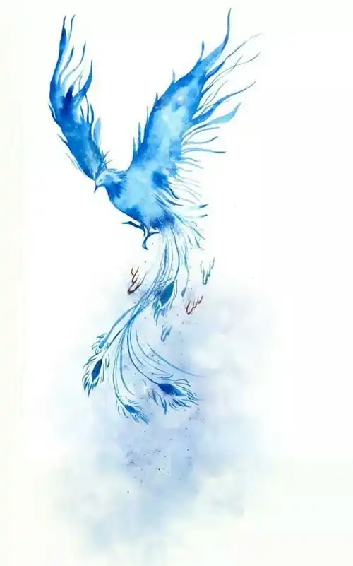 凤凰于飞 水彩 梦幻 唯美 神鸟