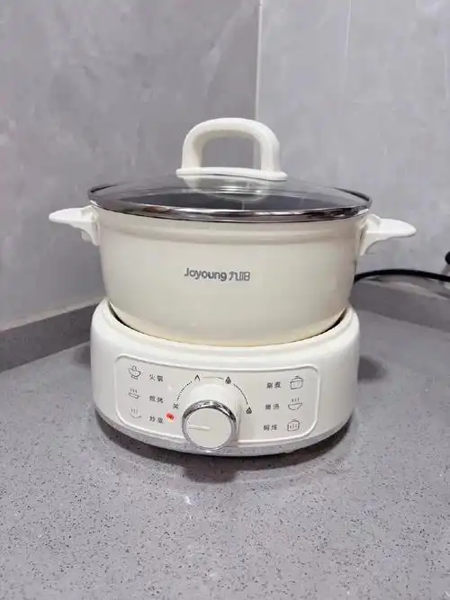 00】九阳电煮锅家用多功能电炒锅蒸煮一体多能小巧厨花式快手菜~花式