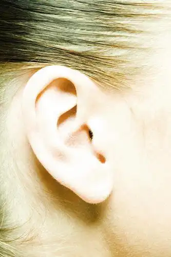 西方人,耳朵,一个人,竖图,室内,特写,白天,白色背景,侧面,欧洲,欧洲人