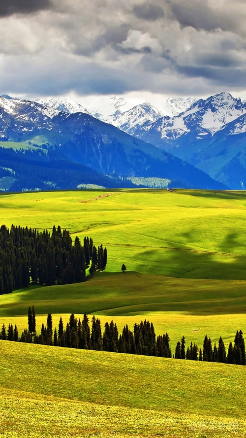 净化心灵的地方