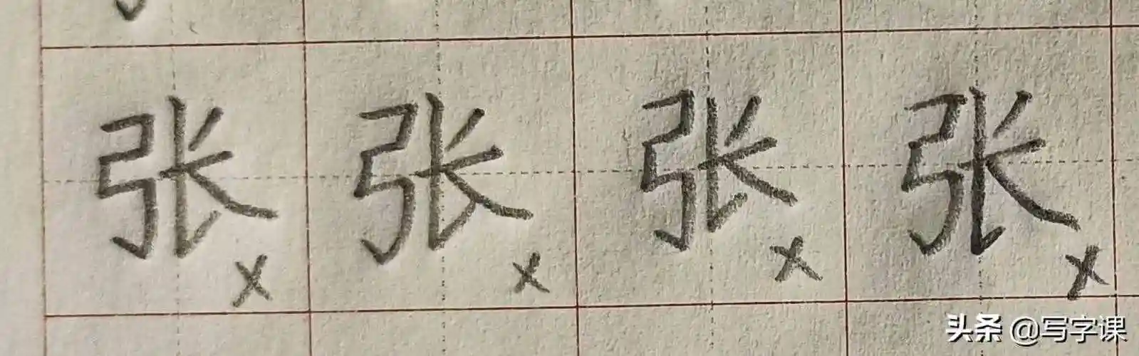 张的笔顺百日练字百家姓张的写法