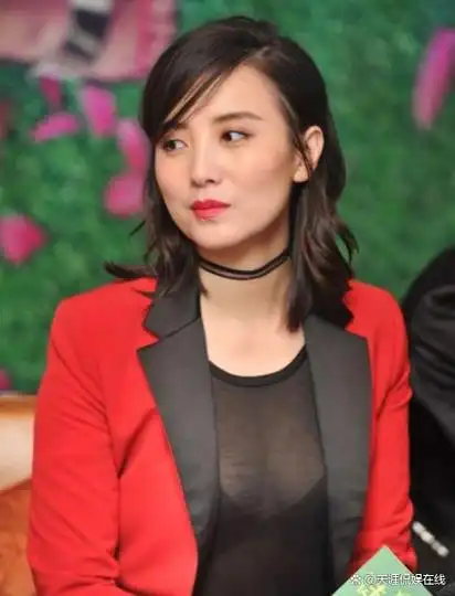 事业得意情路坎坷的宋佳绯闻缠身演艺路上仍不断挑战自我