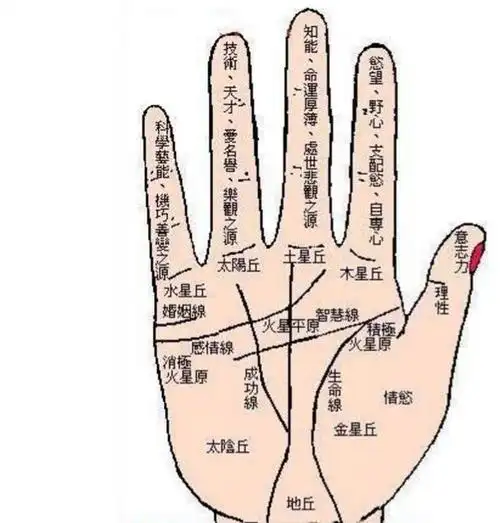 玄灵阁:男女大富大贵的手相特征