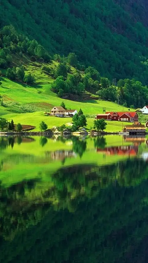 自然森林的绿色夏天的家乡湖 iphone 壁纸