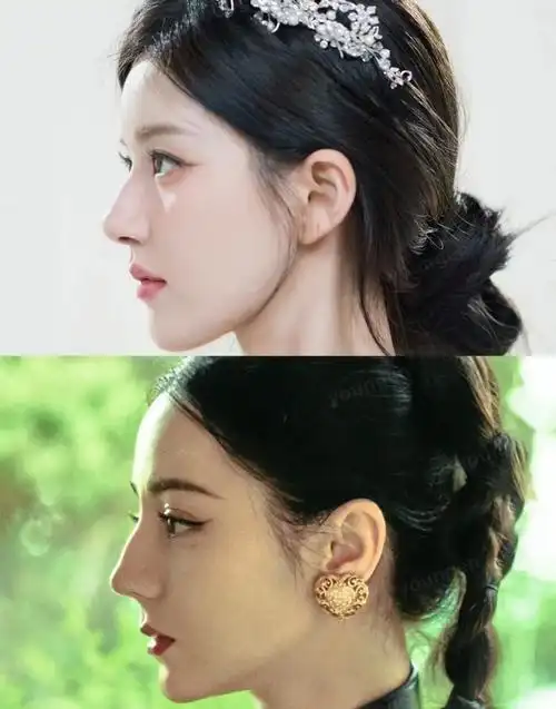 当女明星拥有刘亦菲同款驼峰鼻你觉得谁赢了
为什么说刘亦菲一个人