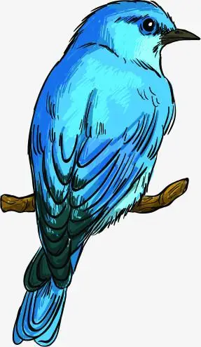 手绘小鸟手绘手绘蓝色花手绘漫画人物手绘蓝色天空卡通手绘羽毛手绘漫