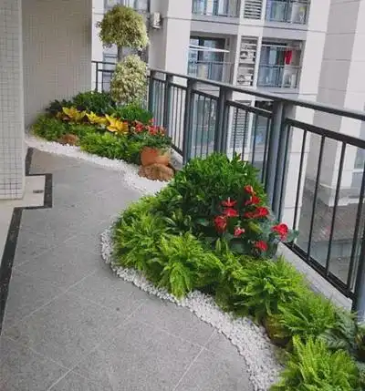 阳台再小,也要种点花草|多肉|盆花|叶子|小花园_网易订阅