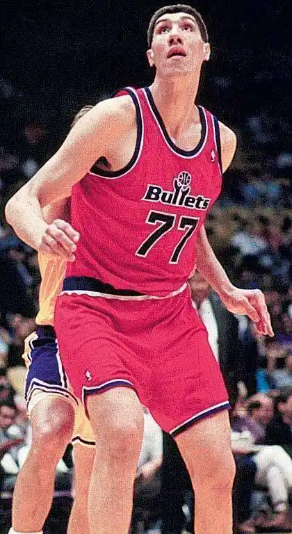 p>乔治·穆雷桑(gheorghe muresan),1971年2月14日出生于罗马尼亚,前