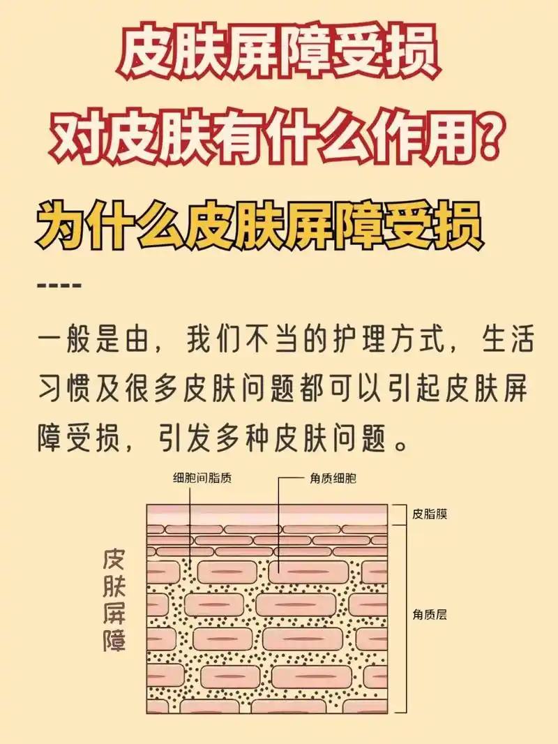 皮肤屏障受损该怎么办?#干货分享 #变美 #皮肤屏障 - 抖音