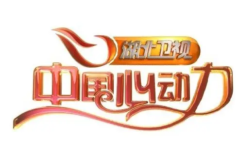 2012年湖北卫视整体包装招标公告