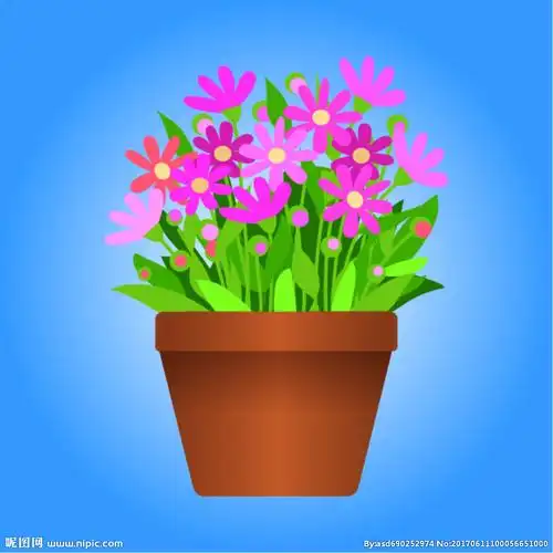 卡通矢量花卉盆景图片