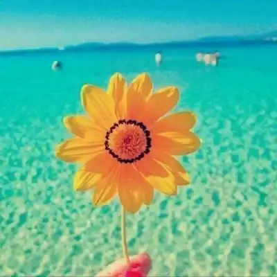 你会被她们感染,最简单,最质朴的快乐2021招财幸运头像以上就是与女生