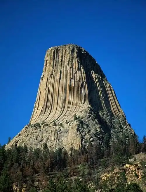 山海经记录的通天神树真的存在美学者折断之处有未知力量传出